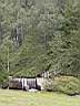 irecerizlatibor33m.jpg