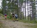 irecerizlatibor36m.jpg