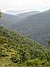 irecerizlatibor41m.jpg