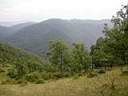 irecerizlatibor42m.jpg