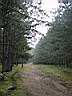 irecerizlatibor52m.jpg