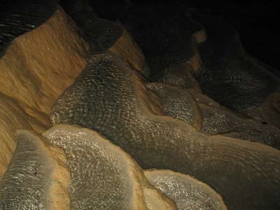 Bigrene kade, Stopica pecina